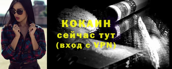 шишки Белоозёрский