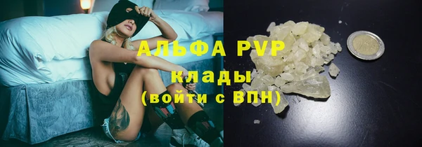 spice Белокуриха