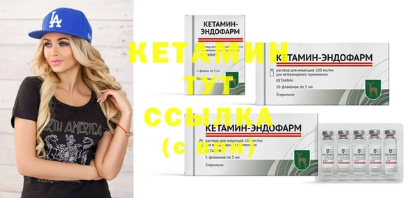 шишки Белоозёрский