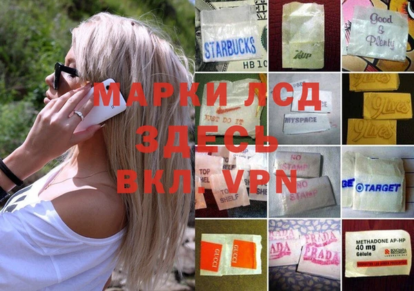 spice Белокуриха