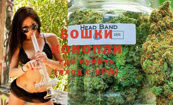 шишки Белоозёрский