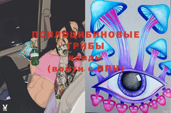 шишки Белоозёрский