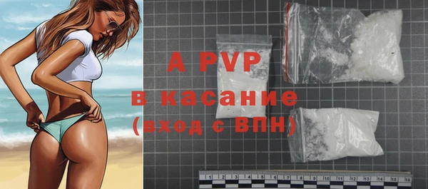 шишки Белоозёрский