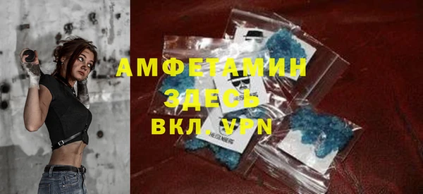 шишки Белоозёрский