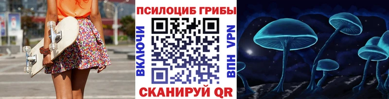 Псилоцибиновые грибы Cubensis shop формула Крымск